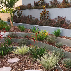 ZAM® steel edging by Sustainable Garden Design Perth